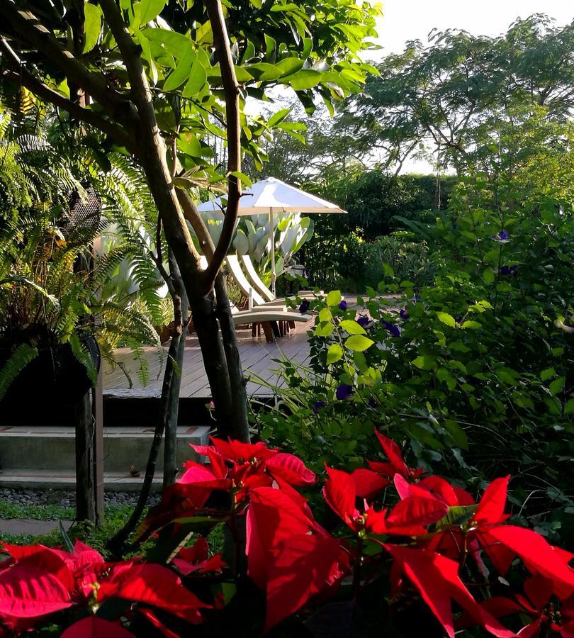 Villa Albizia, Chiang Mai Doi Saket Exterior photo